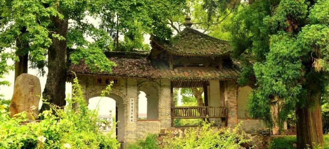 是名师出高徒？还是高徒出名师？游戏画面